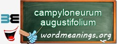 WordMeaning blackboard for campyloneurum augustifolium